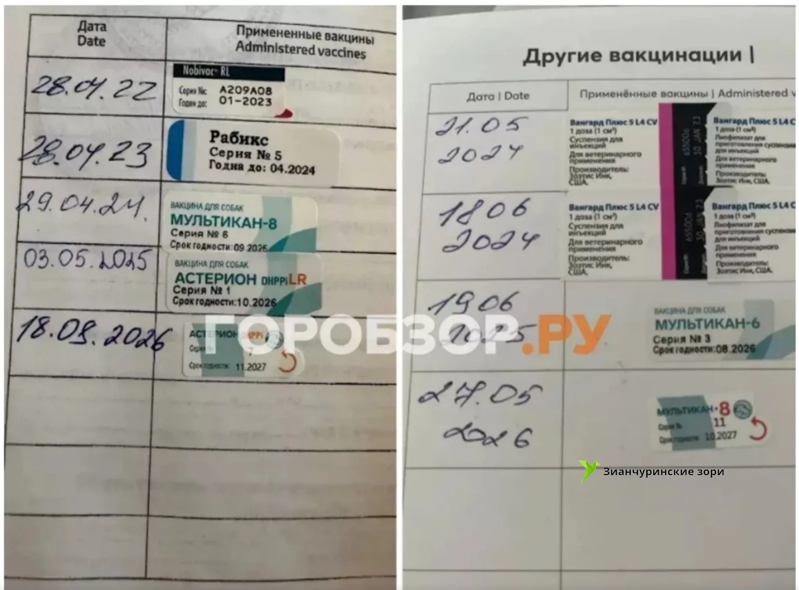 Горобзор.ру