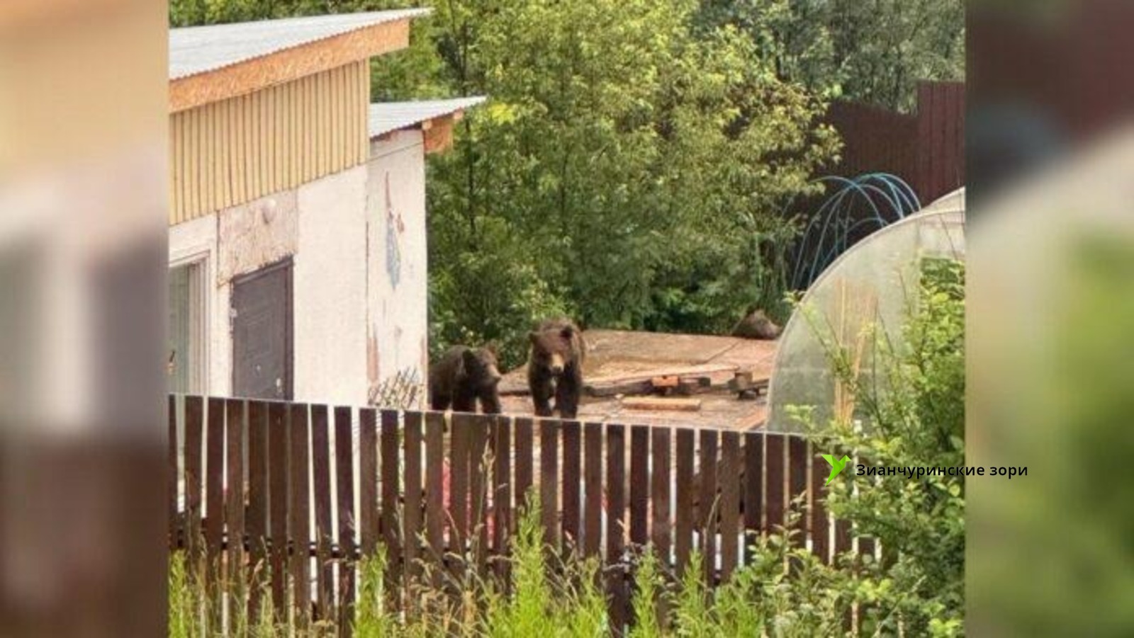 соцсети   https://mybashkortostan.ru