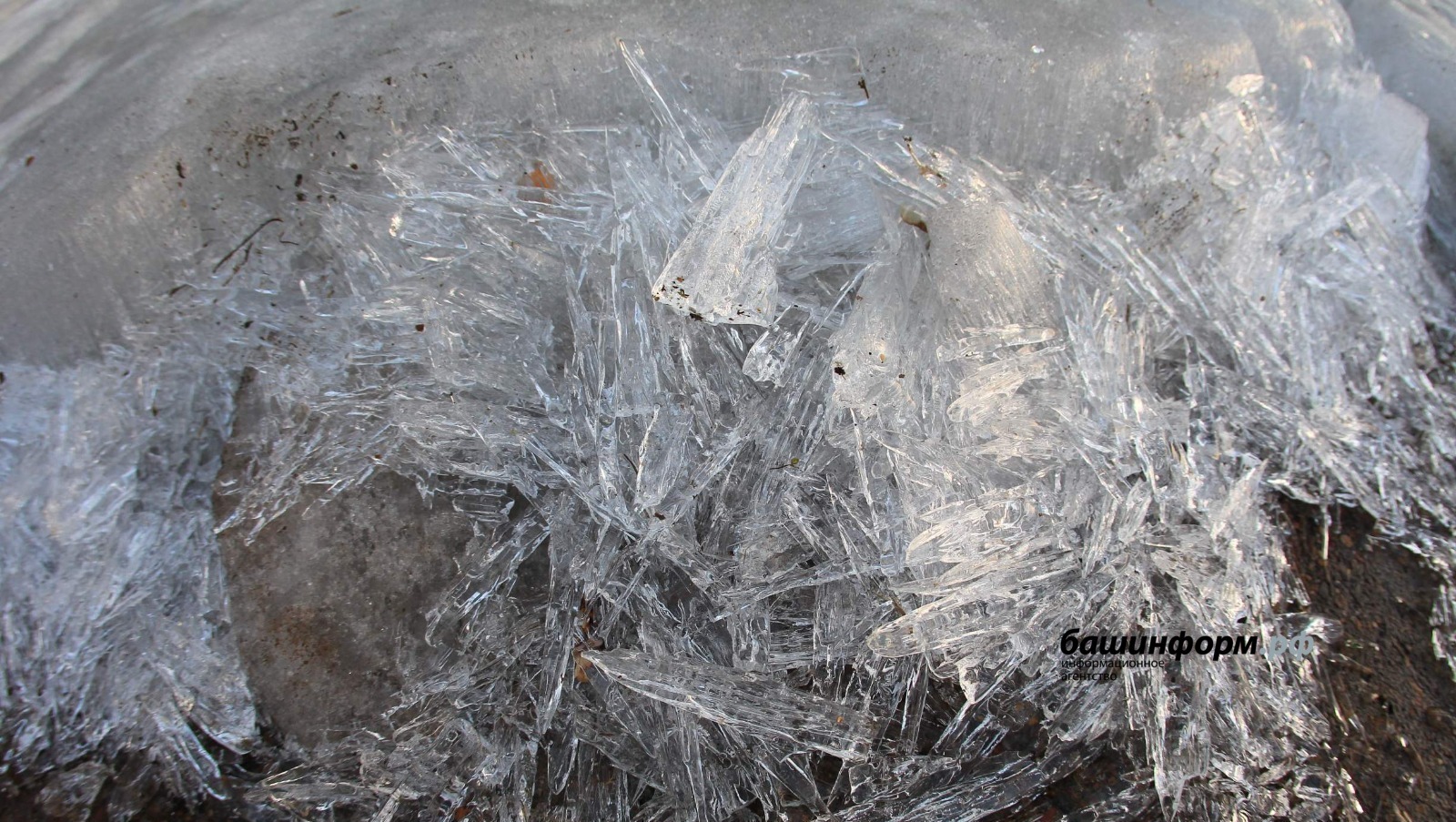 В Башкирии водолазы нашли подо льдом труп мужчины