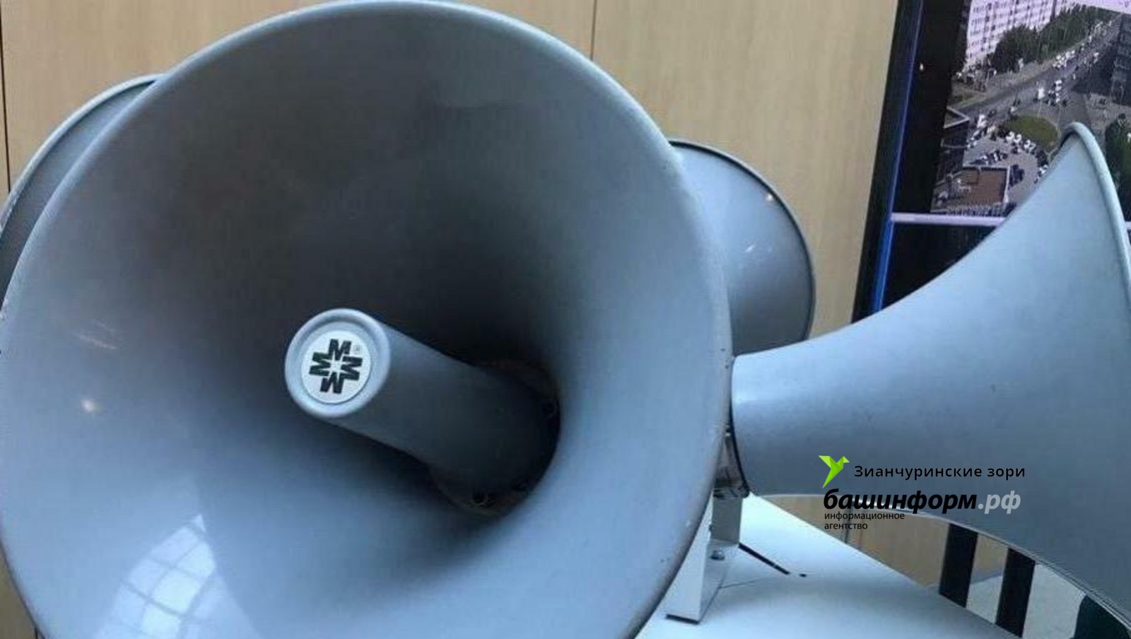 Ксения Калинина