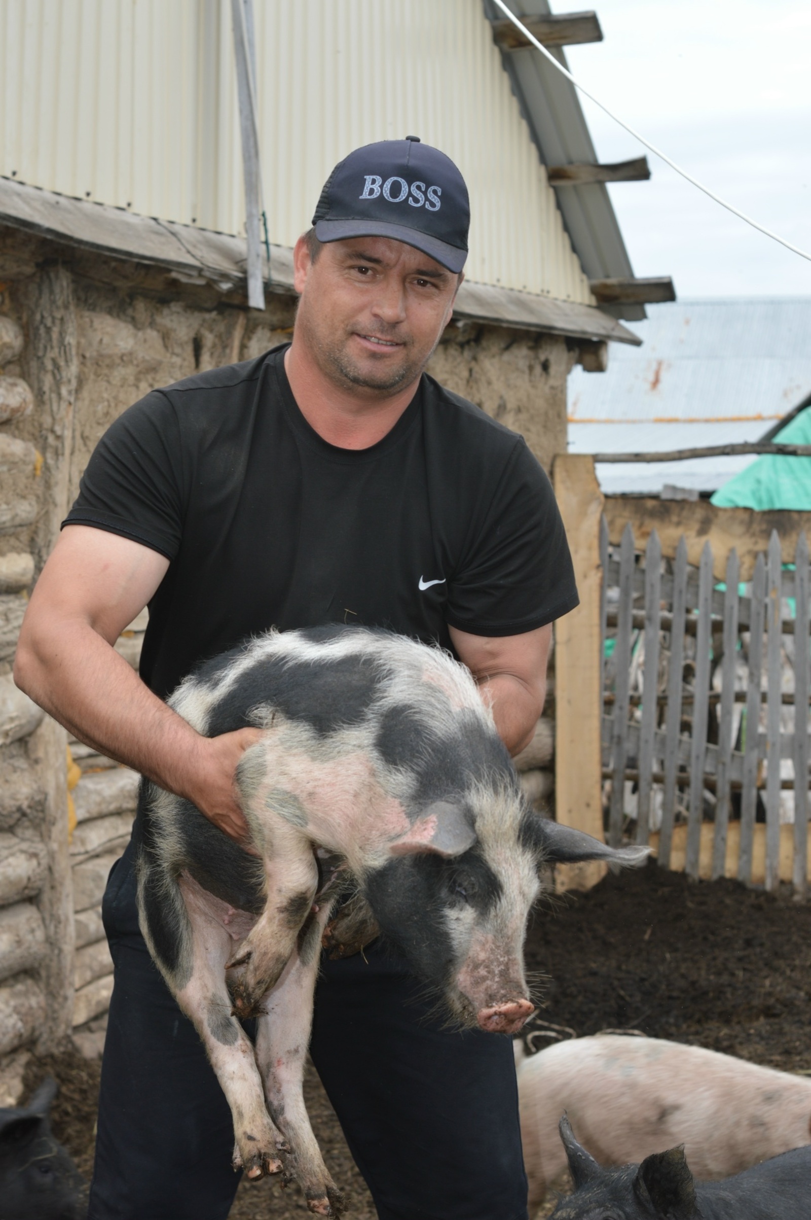 Вдали от суеты города