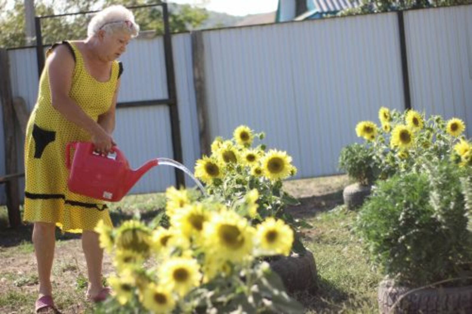 Из города в деревню – с радостью и навсегда!