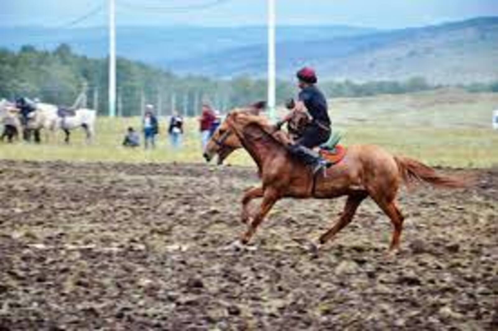 Жительница Гафурийского района рассказала, какое значение для башкира имеет лошадь