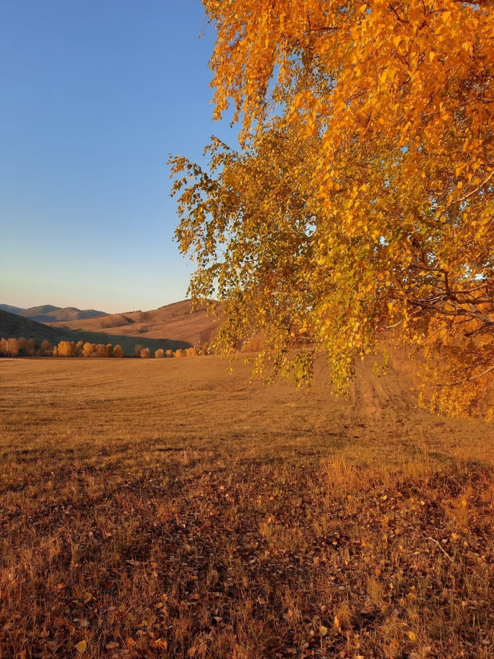 Инякская  сторона. Там без спроса ходят в гости, там нет зависти и злости