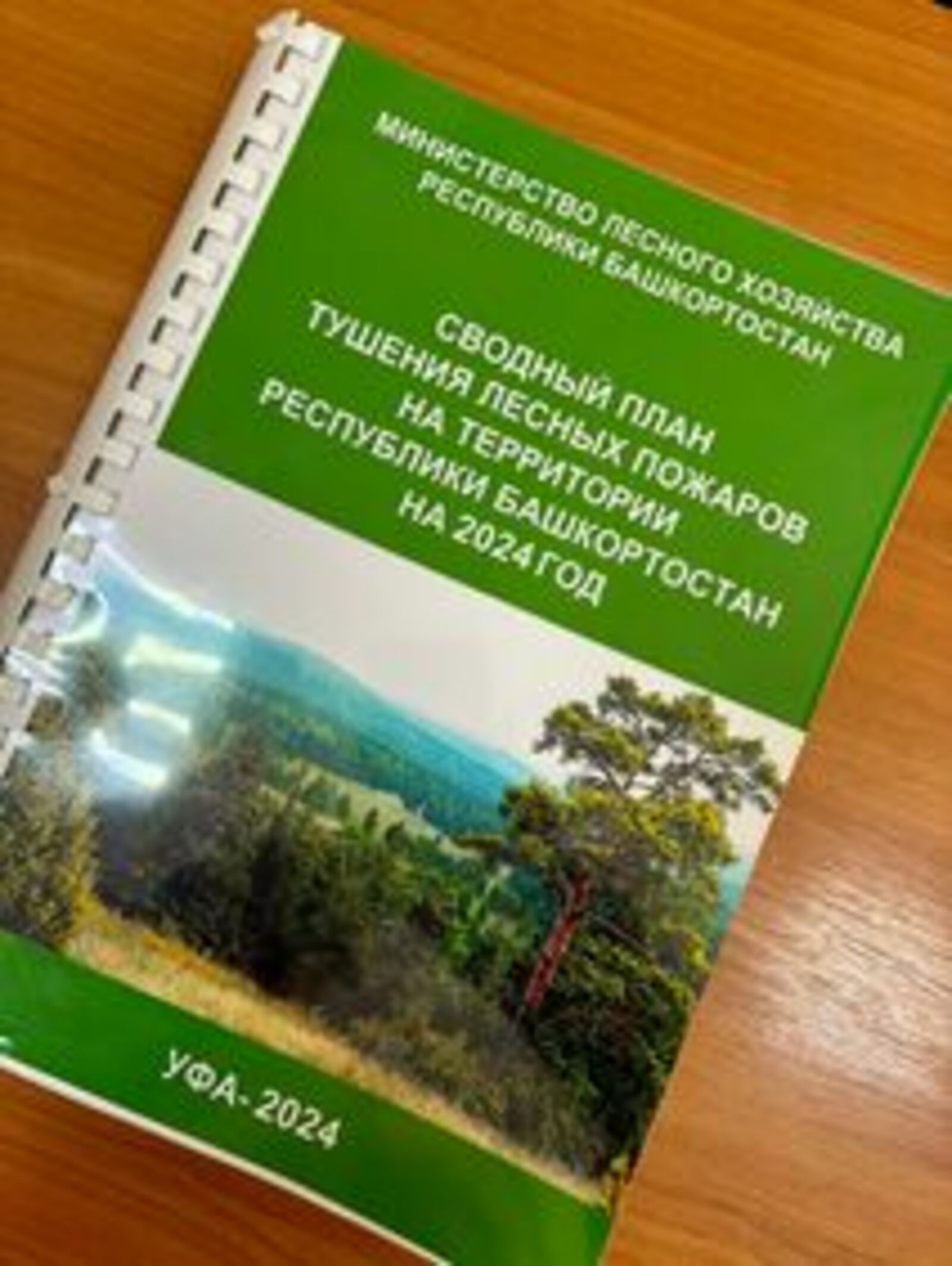 В Башкортостане утвержден план тушения лесных пожаров на 2024 год