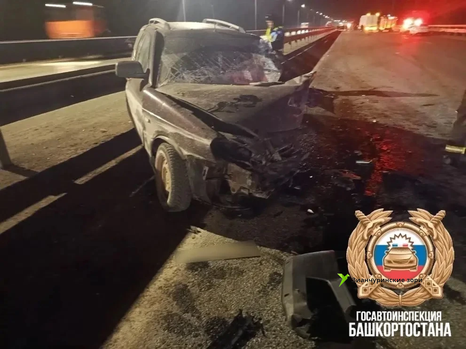 С личной страницы Владимира Севастьянова в соцсети