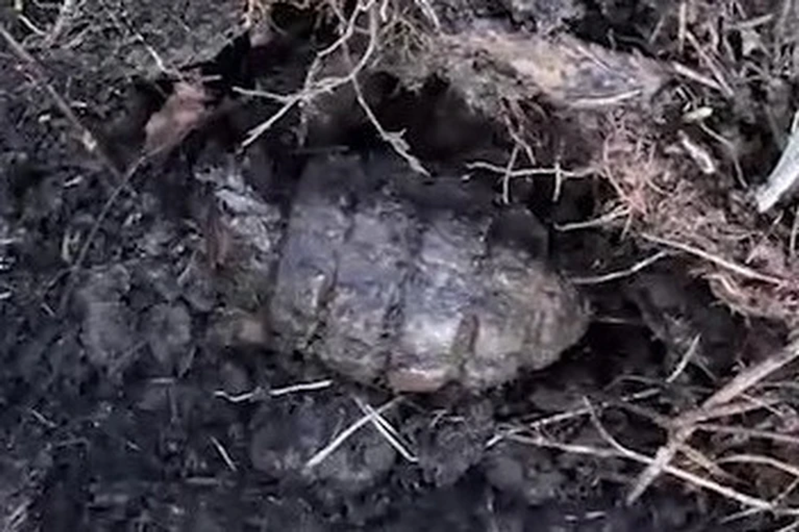 Аккаунт Сагитзяна Идиятуллина в соцсетях