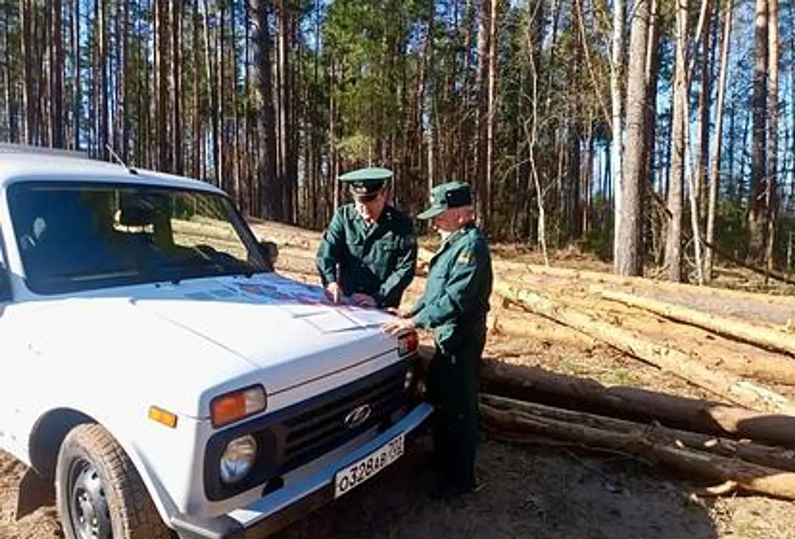 В Башкортостане стартует операция «Лес»