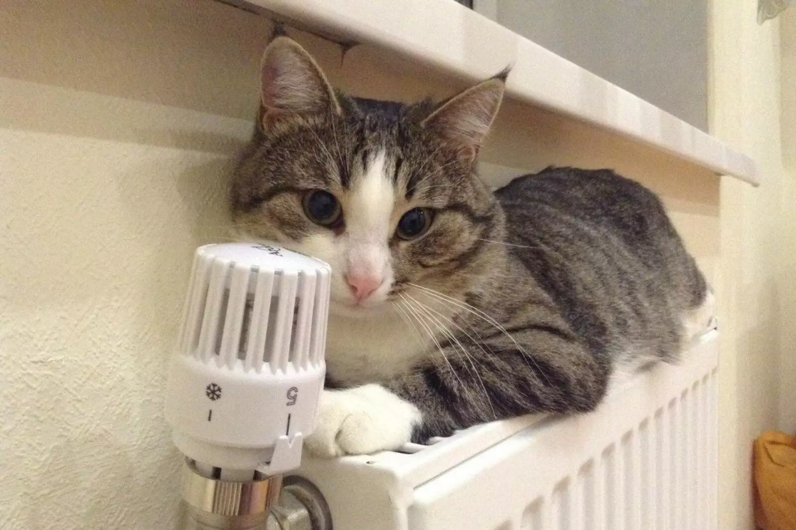 Когда в Башкирии дадут отопление