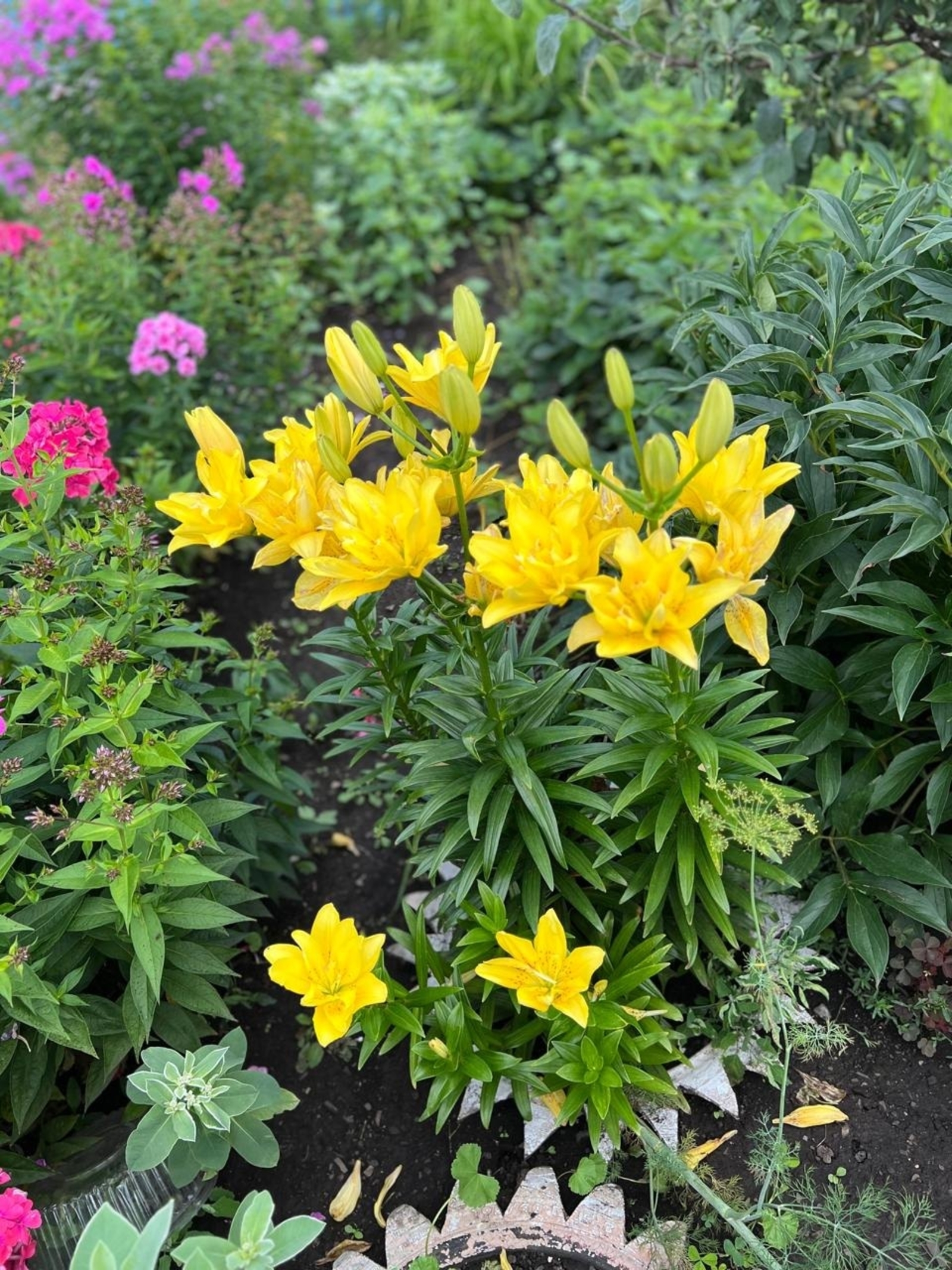 Начался прием заявок журналистский конкурс "Достоверность. Ответственность."