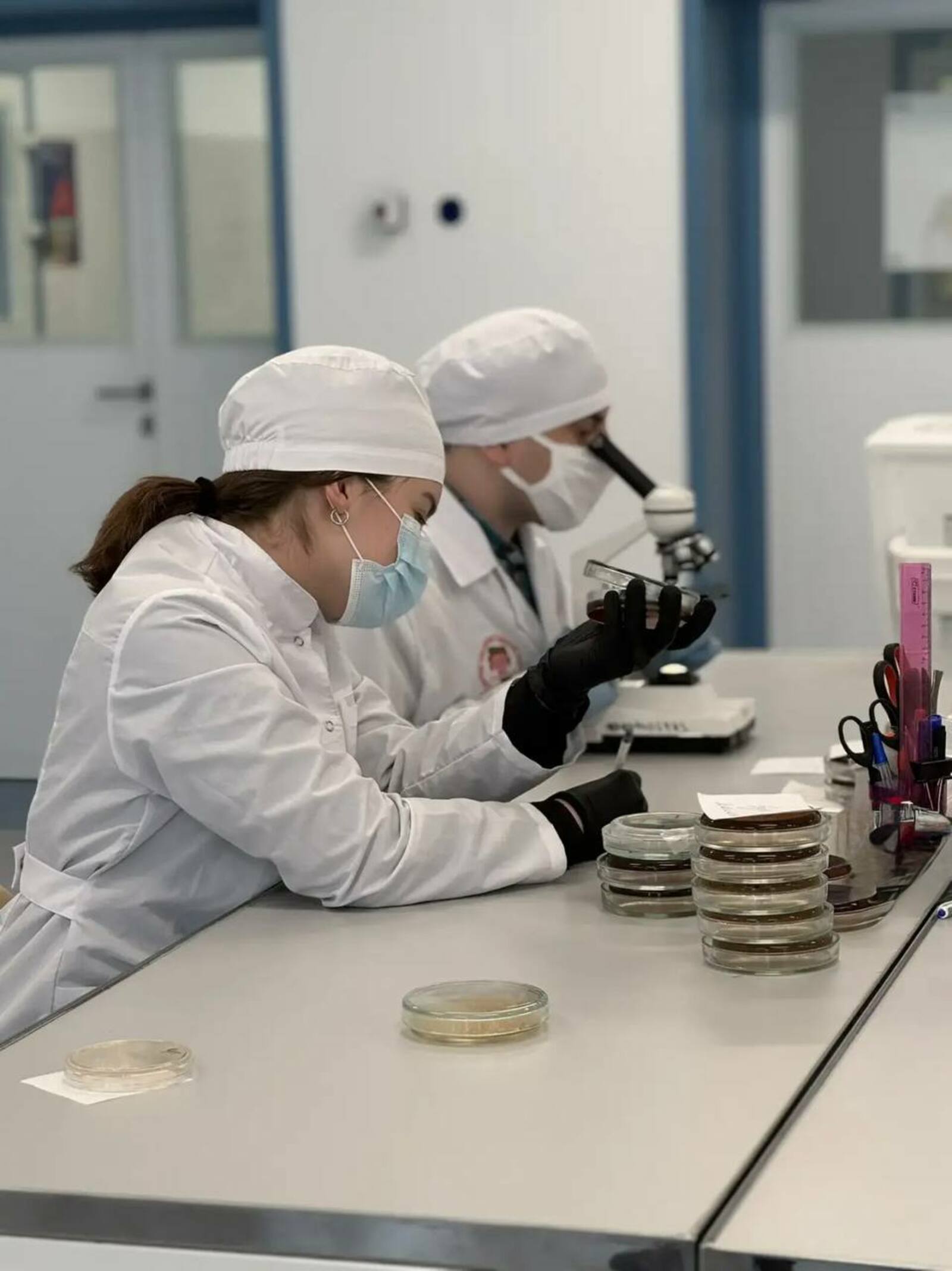 В Межвузовском кампусе создали систему для поиска«бактерии стройности»у человека