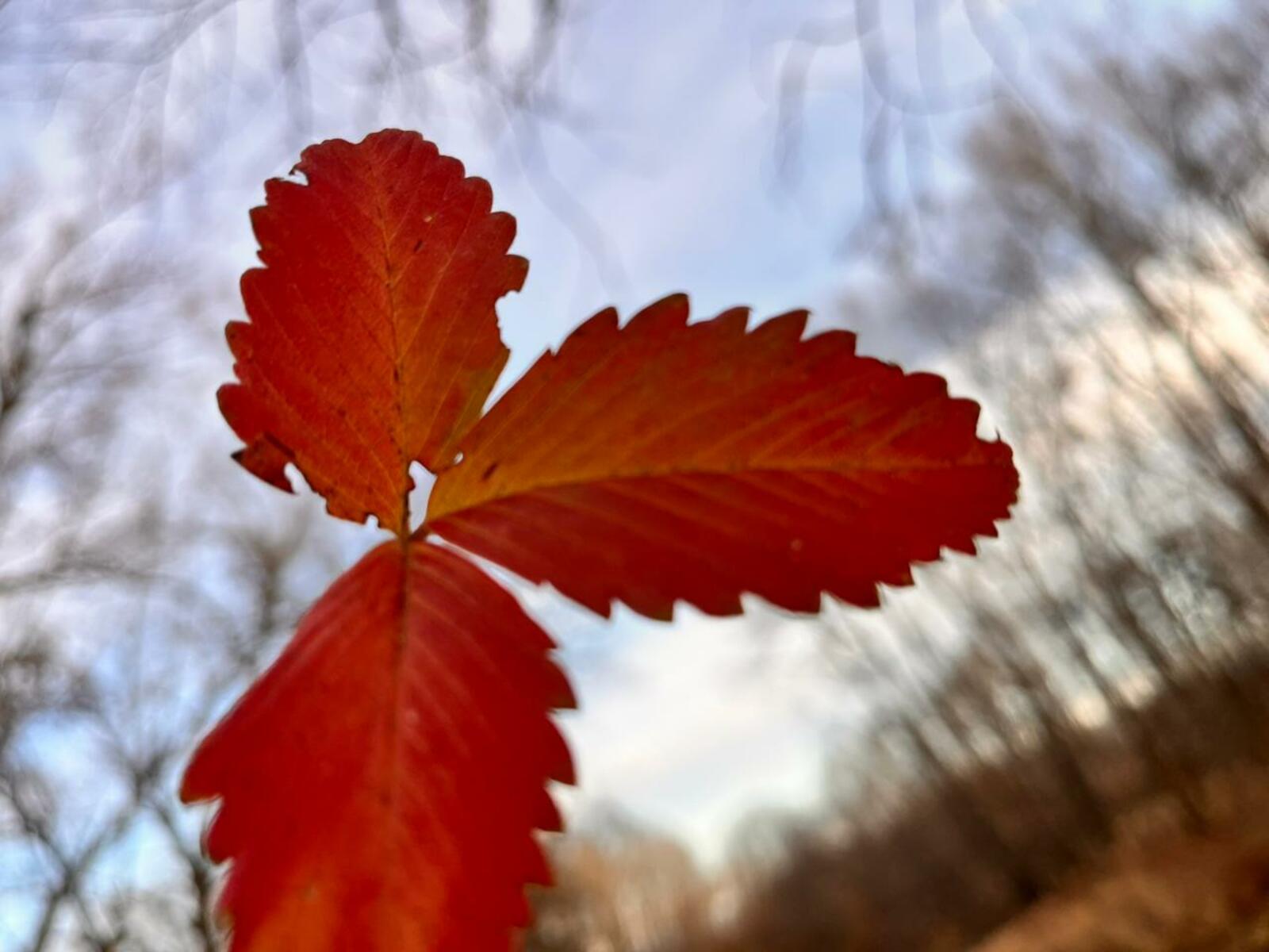 Поздравления с Днём народного единства