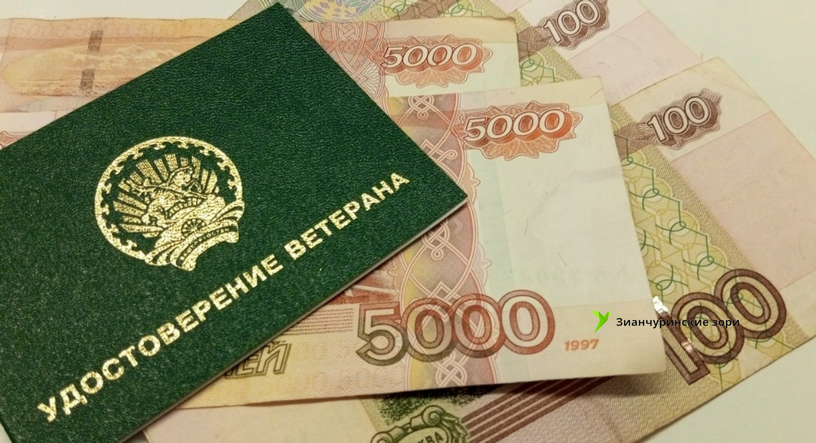 Евгения Сюткина / «Общественная электронная газета»