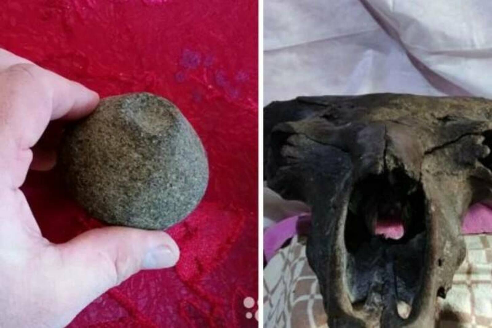 Череп бизона, метеорит, целебные камни - какие вещи продают жители Башкирии