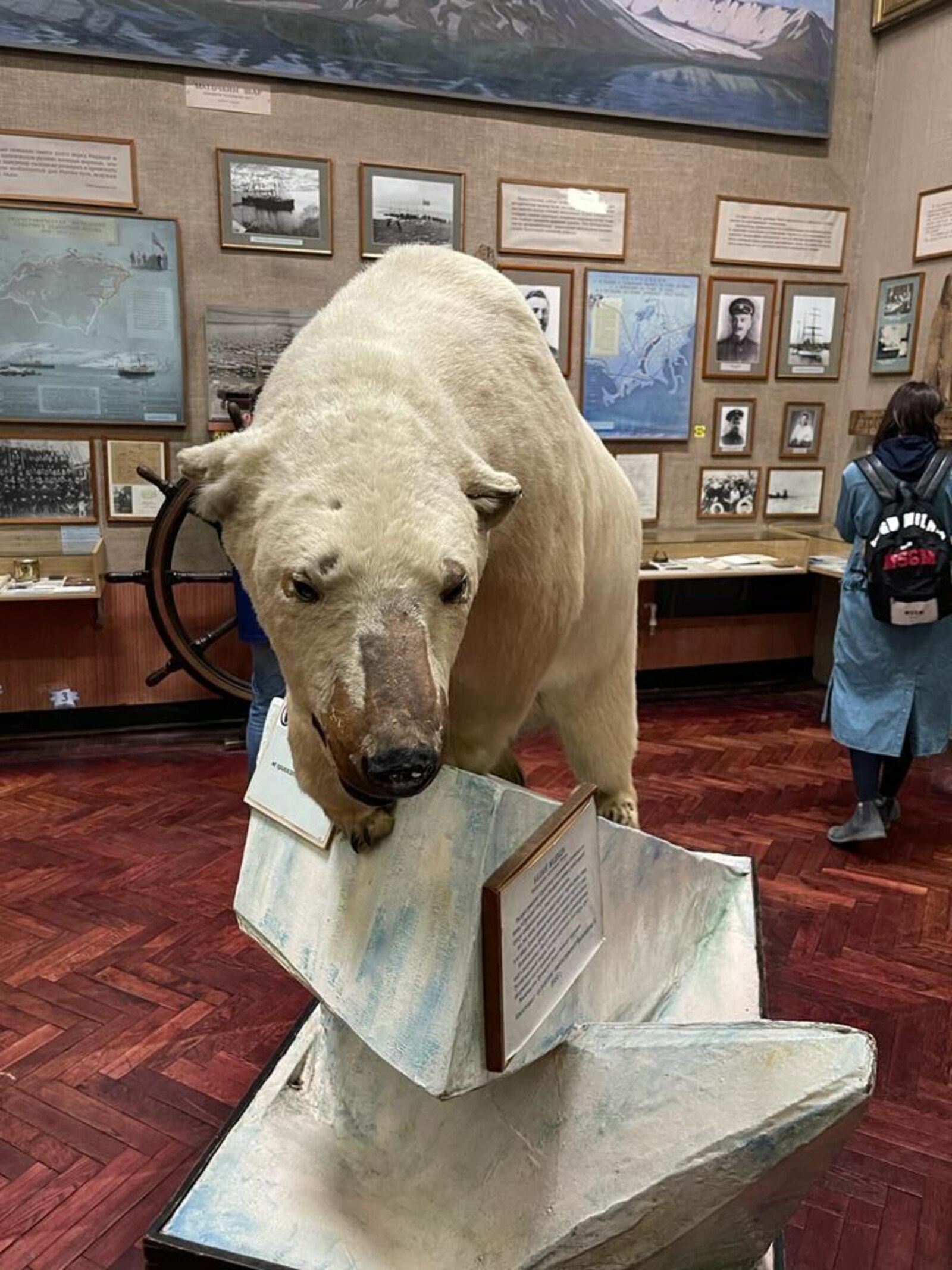 "Привет, Умка" - Радий Хабиров посетил музей Арктики в Санкт-Петербурге