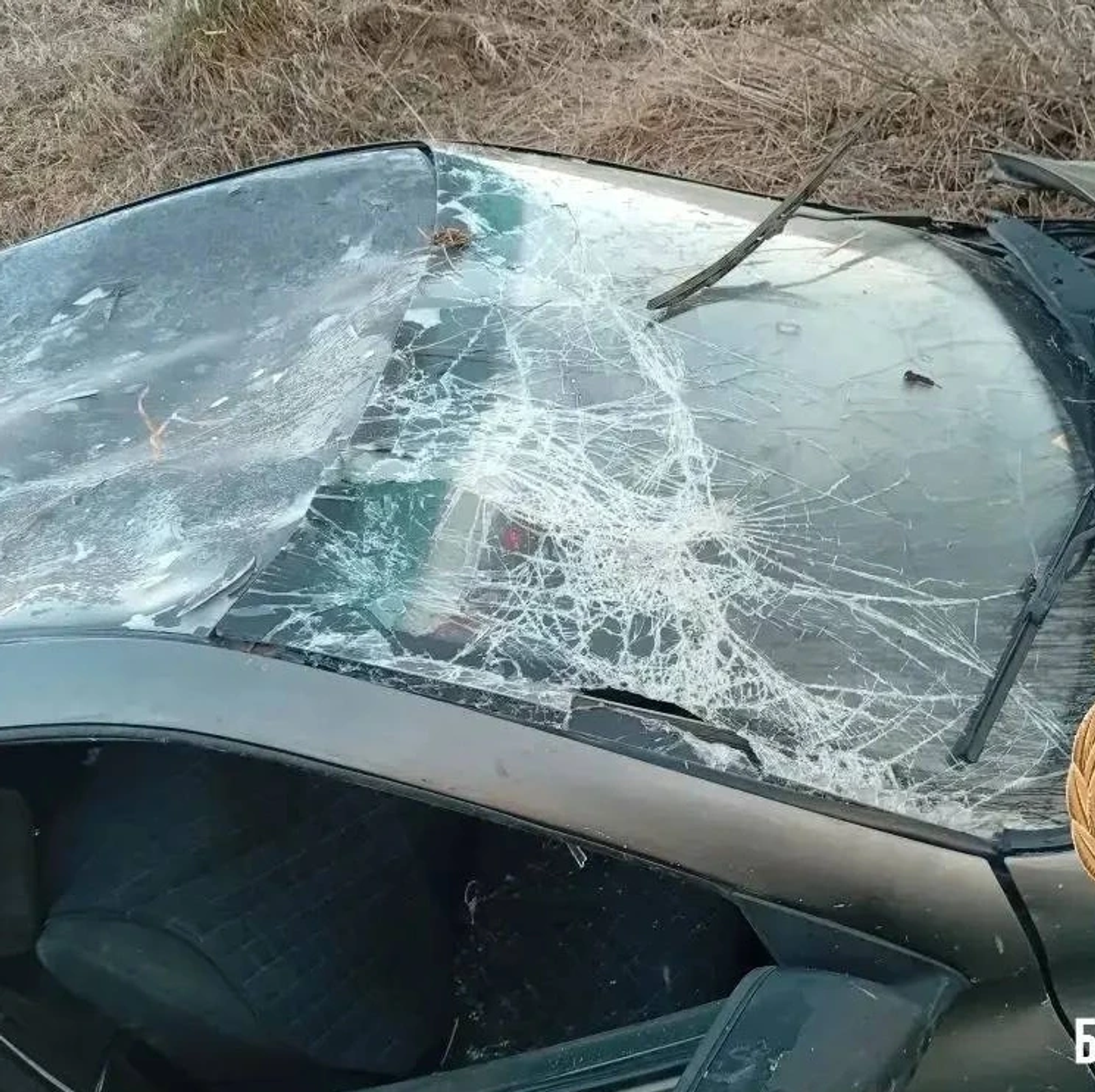 Max-канал "Честно говоря"