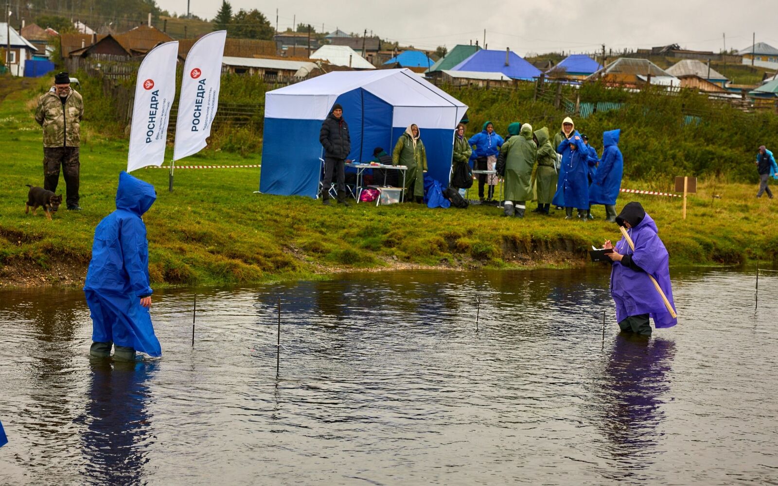 В 2025 году жители Башкирии стали участниками экологических мероприятий