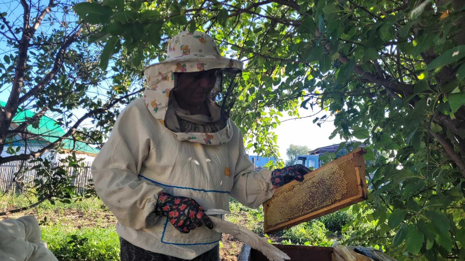 Господдержка пчеловодов Башкортостана за 3 года превысила 57 млн рублей