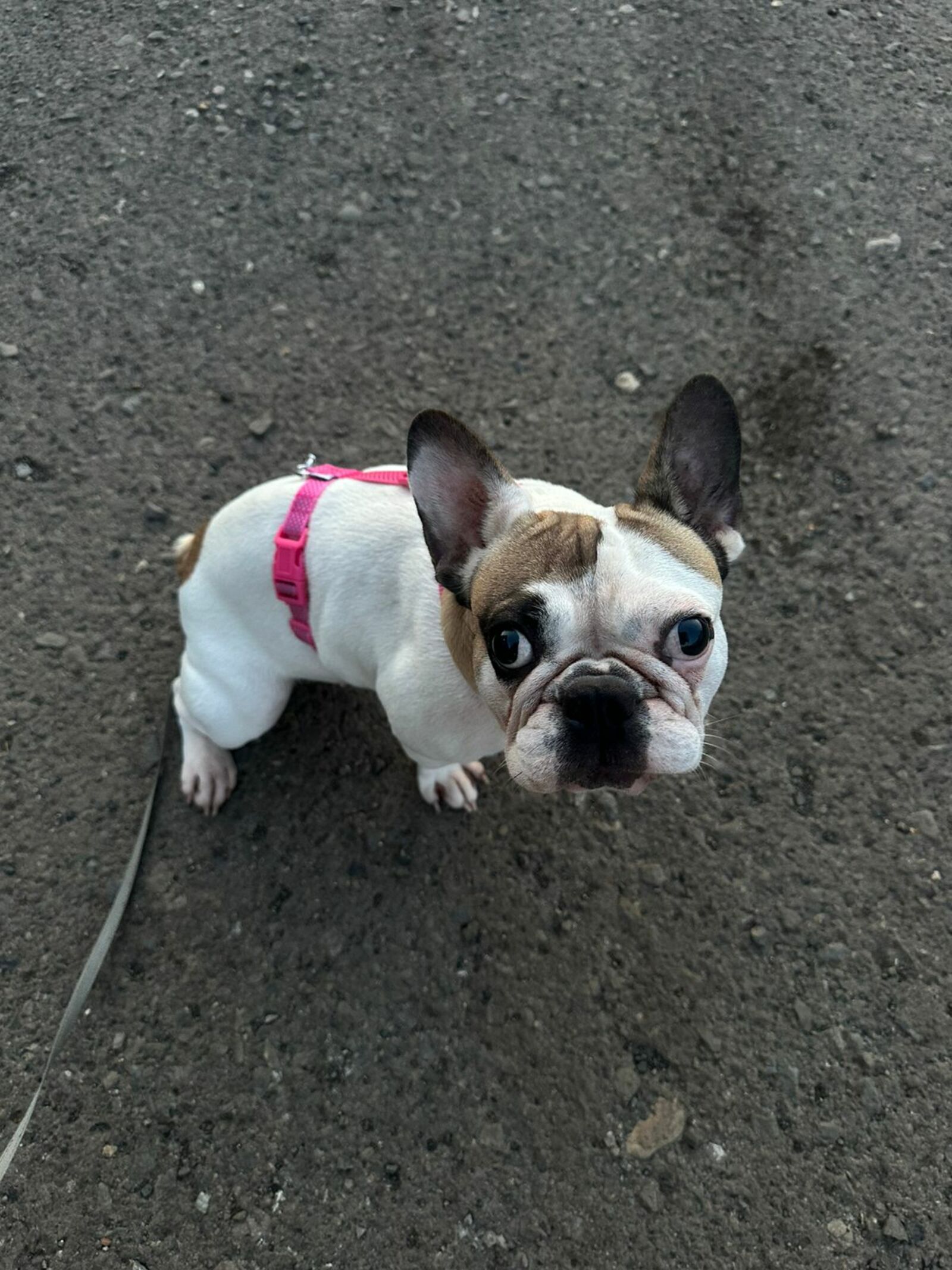 В Башкирии появилась новая мошенническая схема