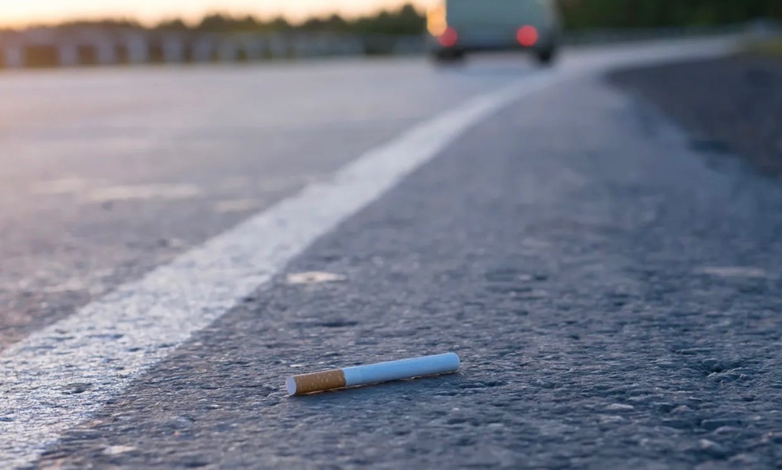 Evgeniy Medvedev/Shutterstock