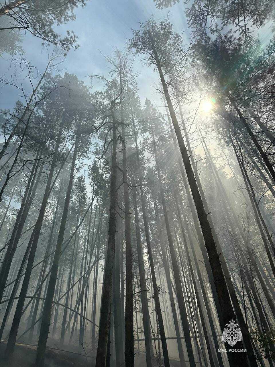 На территории Республики Башкортостан действуют 6 очагов лесных пожаров
