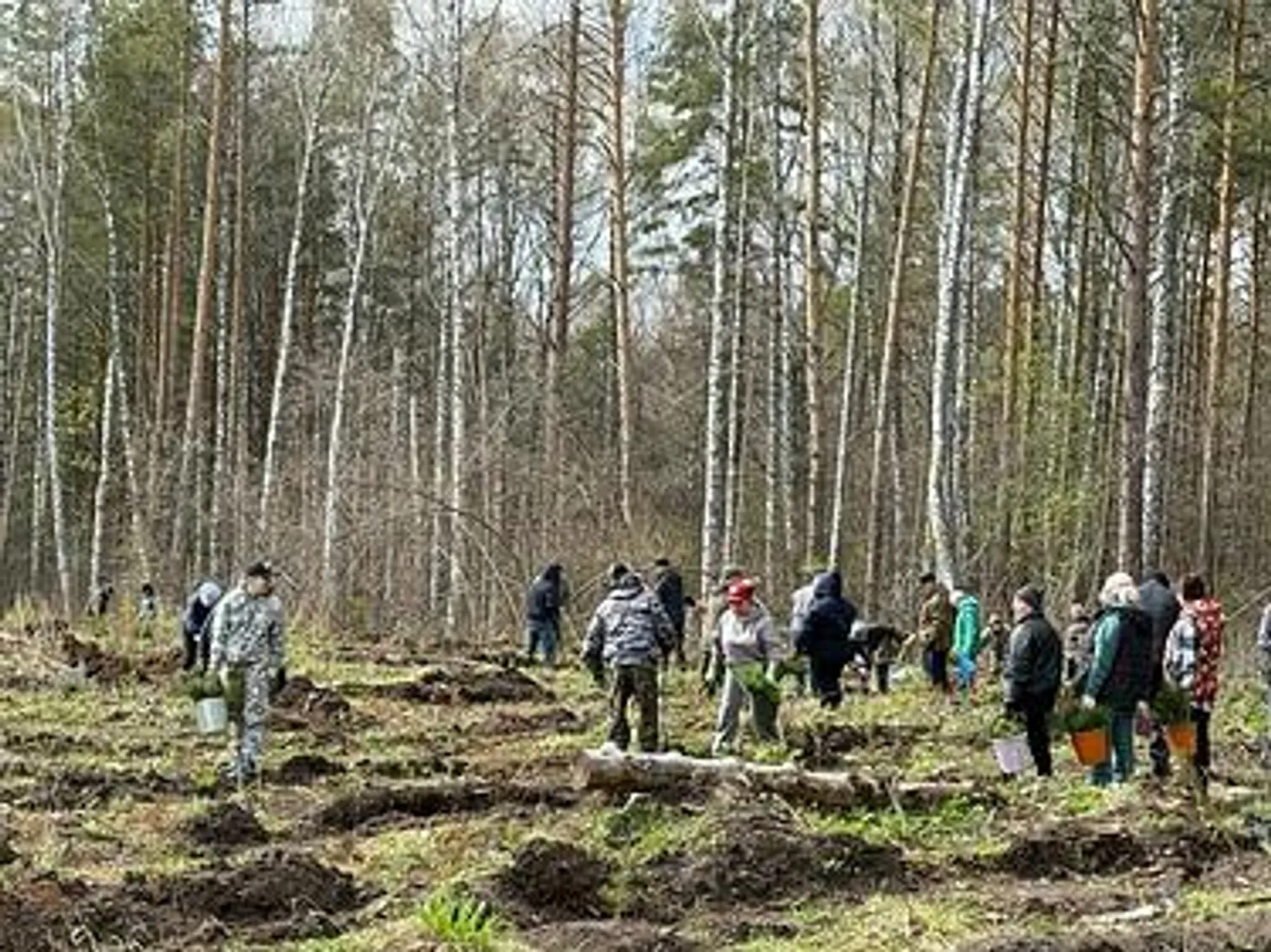 В Караидельском районе прошла акция "Сад памяти"