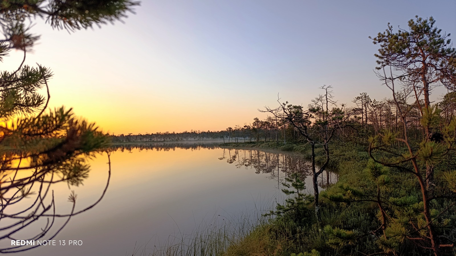 24 июля в Самарской области стартует Молодёжный форум иВолга